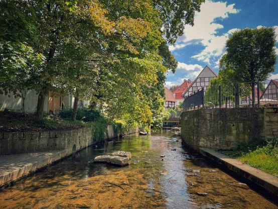 Ein niedriger Bach (Salze in Bad Salzuflen) wird links von Bäumen am Ufer, rechts von einer Mauer gesäumt, die Sonne scheint auf das klare Wasser. Im Hintergrund sind eine Brücke und Fachwerkhäuser zu sehen. 
