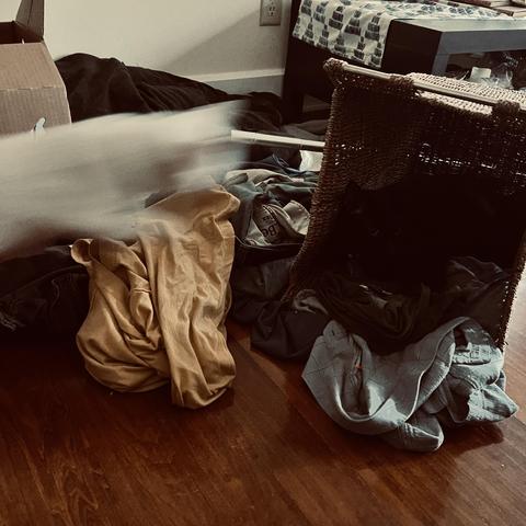 a streak of a flying white cat towards an overturned laundry basket containing a black cat obscured by shadow