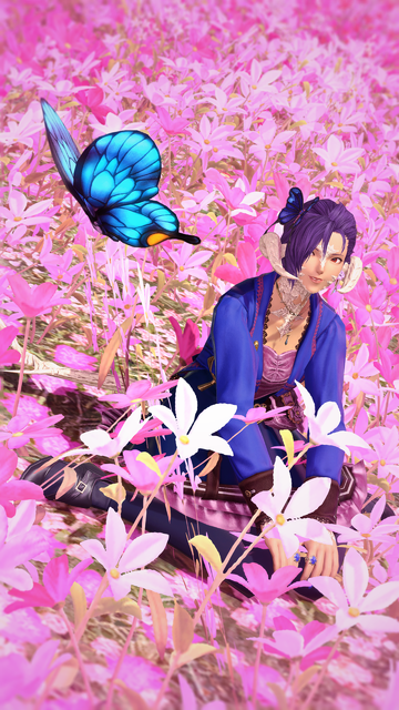 Berin Rinrin, a Raen Au Ra in a dark blue and pink dress, is sitting in a field of pink flowers and gazing at a bright blue butterfly flying by. She is wearing a matching blue butterfly hair accessory.