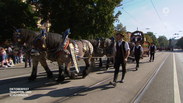 It is one of the largest and most beautiful parades in the world and is also an event with royal Bavarian history: It commemorates the silver wedding anniversary of King Ludwig I and Therese of Bavaria, for whom a magnificent parade was held in 1835 with participants from all over Bavaria. It was so beautiful that it was decided to repeat it and so it still exists today, the unique Oktoberfest traditional costume and riflemen's parade. This is also thanks to a very special association: the tradition-conscious Festring München e. V. not only organizes this major event, but also "O'zapft is" for the Wiesn opening and the wonderfully nostalgic Oide Wiesn. The parade is led by the Münchner Kindl, which is immortalized in the city coat of arms of the state capital. Depicted "on horseback" by 21-year-old Franziska Inselkammer, who has a close connection to the Oktoberfest because her parents are Wiesn innkeepers. Next comes Mayor Dieter Reiter, who rides in a festival carriage and, as mayor, precedes Prime Minister Markus Söder, who also does the honors every year. Over 9,000 participants are taking part this year, coming not only from all parts of Bavaria, but also from other federal states and neighboring European countries: festively dressed traditional costume groups, sports and mountain riflemen, music bands, marching bands and fanfare groups, in between the magnificent heavy-horse teams of Munich breweries and festival floats on which old crafts or customs are shown.