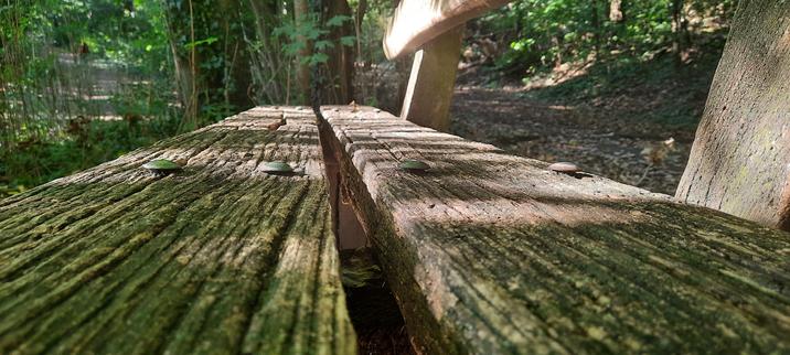 parkbank holz schlossschrauben  prenzlauerberg volkspark september spaetsommer berlin fotografie photography photographie