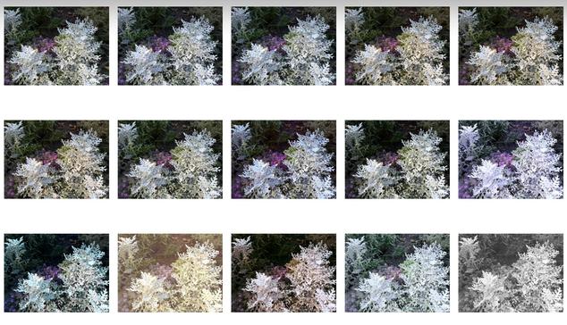 A grid of images showing a close-up of white foliage and purple flowers, with various color edits and filters applied to each image.