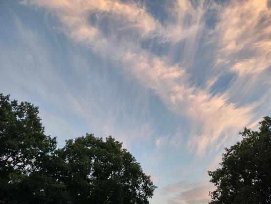 The same sky, but the clouds are now clumped together in long windrows, tied together by ephemeral wisps. They are tinged pink by the setting sun.
