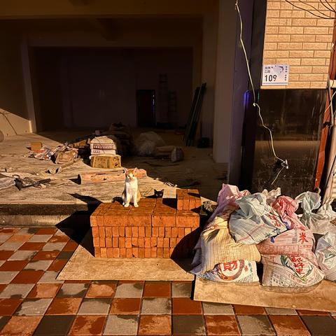 A night photo of a building under construction.  Bathed in orange street light, a white and ginger cat sits atop a palette of bricks looking at me, while a black cat peers cautiously from behind the bricks.  Behind them is the open front of the building with construction materials scattered inside in piles, while to the right of them is a large heap of bags containing builders’ rubble.  The footpath on which the palette of bricks and bags sit is a chequered pattern of grey and pink pavers, partly damp with water.