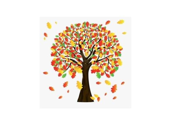 Fall Tarps