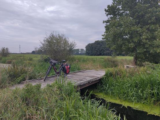 Der Weg durch's Moor führt auf einer Holzbrücke über einen Graben. Auf der Brücke steht mein Fahrrad.