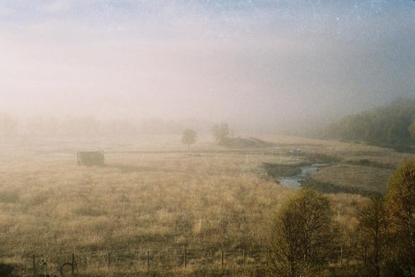 Høstlandskap i tåke. Bildet er fra en fotofilm som har stått noe lenge i kjelleren før den ble fremkalt. Den har derfor noe striper som kanskje være sopp.