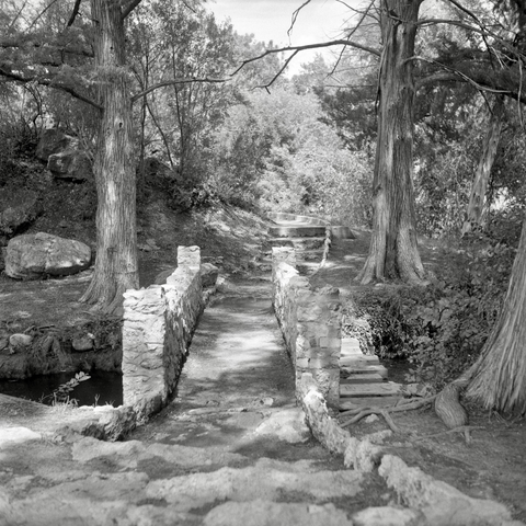 A black and white film photo. An old path winds its way through Civic League Park in San Angelo, Texas. Sunday, September 1, 2024.