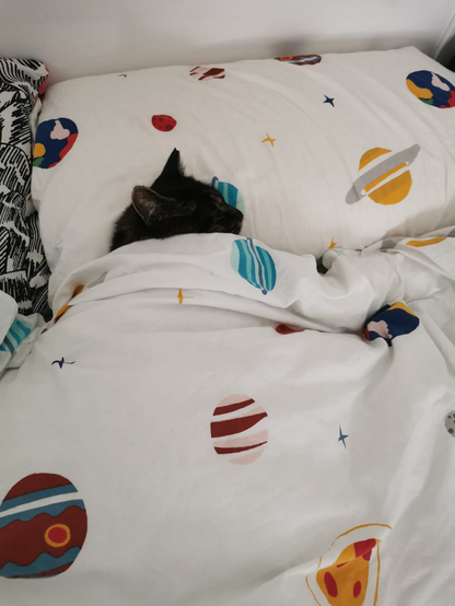 foto de un gato metido en la cama con la cama en la almohada y tapado con el edredón.