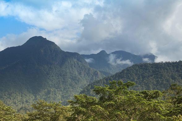 View of Pico Bonito, a towering mountain covered in lush green forest, located in northern Honduras.