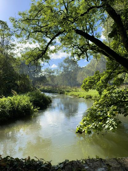 Scenic view of a river from the bridge it is flowing under, on the CastleCoombe Nettleton trail!