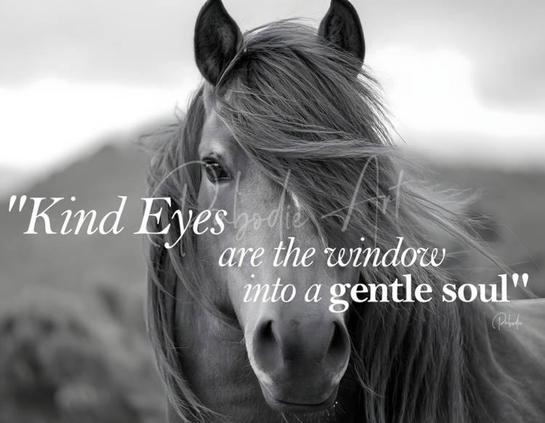 Kind Eyes are the window into a gentle soul...