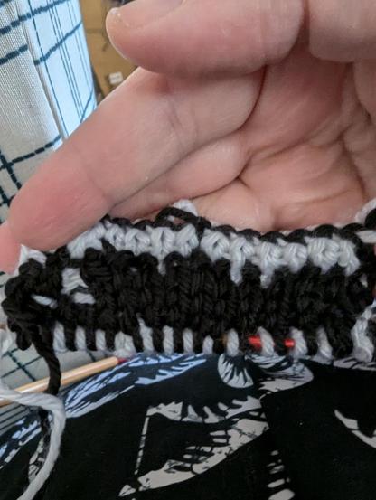 Tiny sample swatch, just a couple of rows, of badly executed double knit still on the needles.

Mostly black side facing with white accidentally mixed