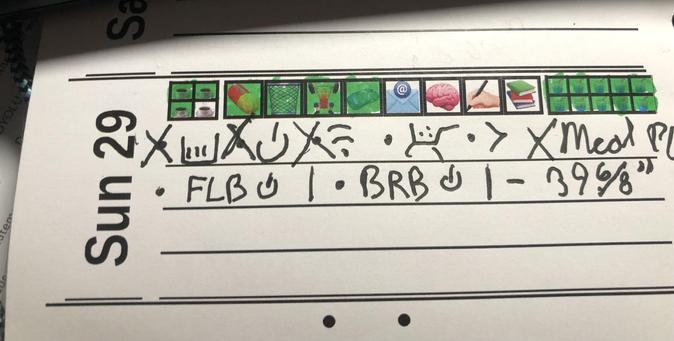 A day on a journal page with goals and tasks represented by emoji and glyphs. Many have been completed. 