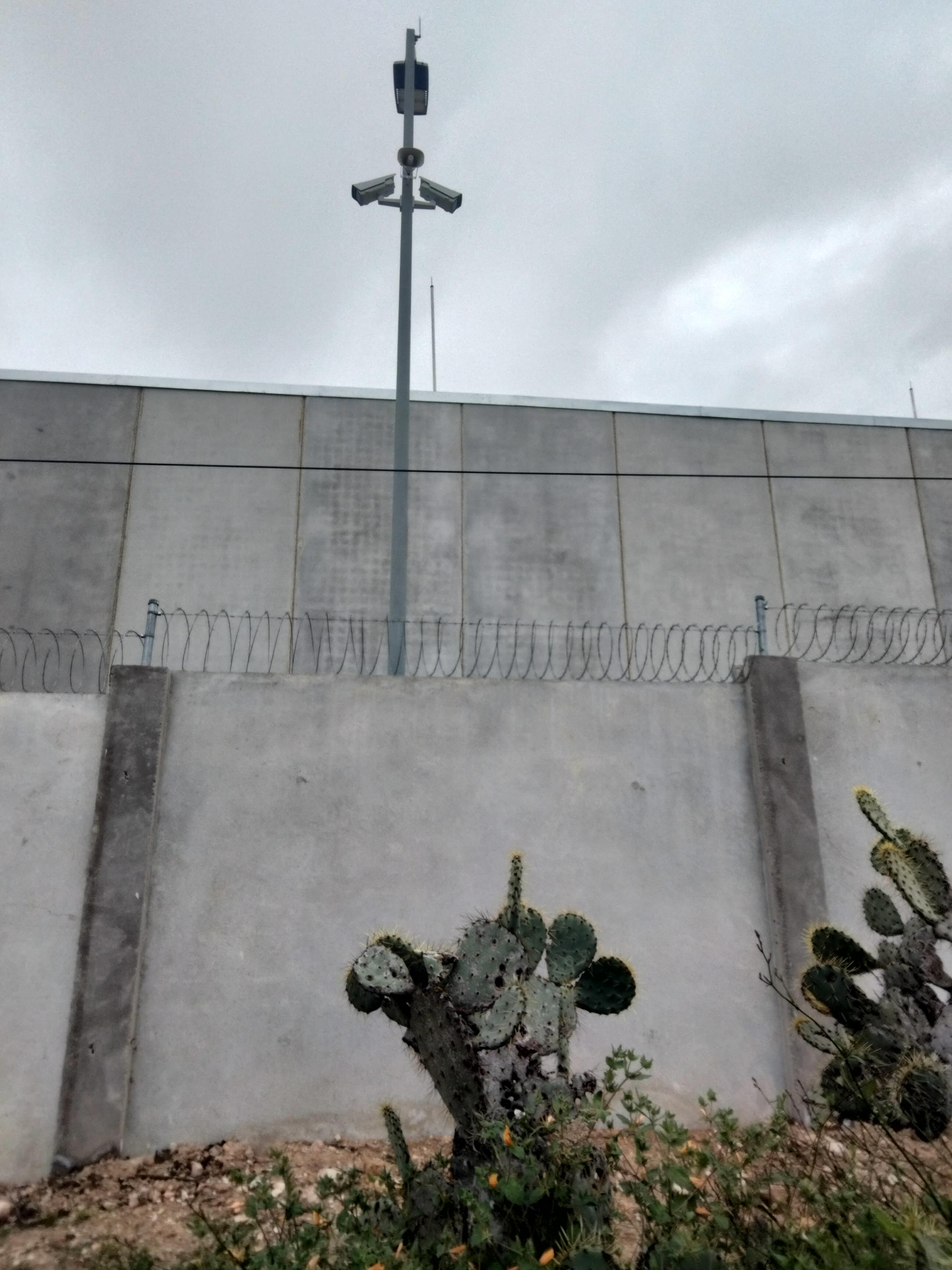 Nopal junto a centro de datos en México.