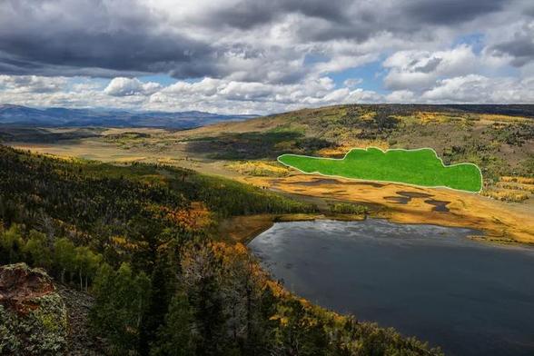 Although it looks like a woodland of individual trees with striking white bark and small leaves that flutter in the slightest breeze, Pando (Latin for "I spread") is actually 47,000 genetically identical stems that arise from an interconnected root network.

Aerial outline of Pando, with Fish Lake in the foreground. (Lance Oditt/Friends of Pando)
