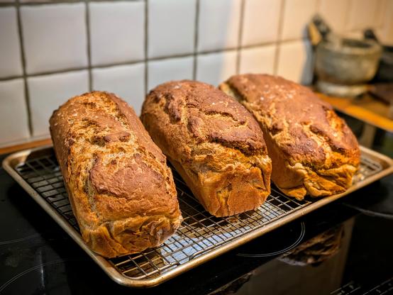Three loaves of freshly baked bread to brighten the week