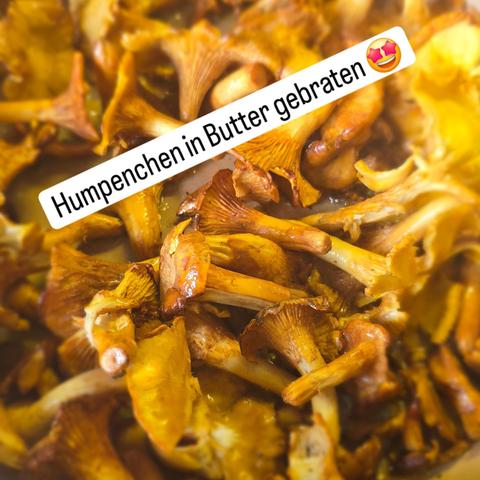 Pfifferlinge in einer buttrigen Pfanne.
Text: Humpenchen in Butter gebraten 🤩