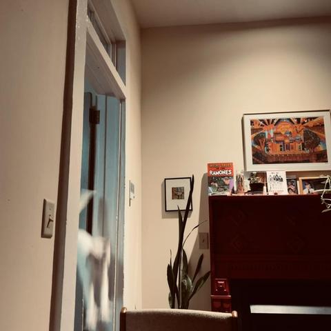 a white cat, falling from a door transom, has flipped and is positioned to land on her feet
