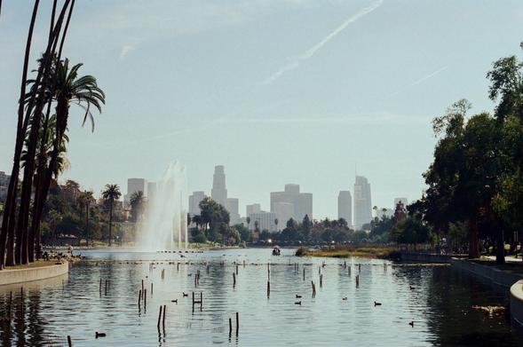 A view of the DTLA skyline from Echo Park