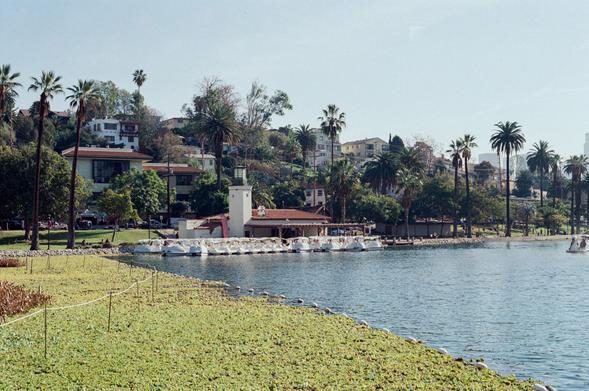 Swan boats in Echo Park