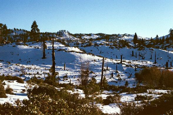 Snowy hills with scattered trees