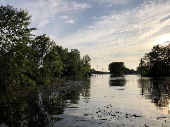 A flooded landscape featuring trees and power lines submerged in water, with a cloudy sky. The scene depicts debris floating on the water's surface.