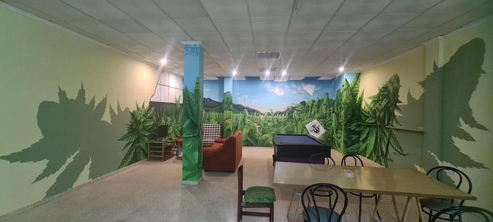 Cannabis mural art painting graffiti streetart kunst in cannabis club, csc, cannabis legalisierung 2024, by fabian zolar, www.zolart.de