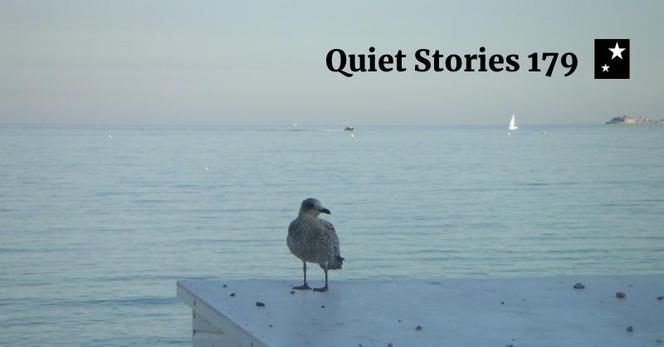 Cover of Quiet Stories 179 — illustrated with a photograph of a seagull in front of the sea.