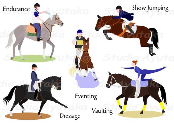 a set of clip art of equestrian sports, Endurance, Dressage, Show Jumping, Eventing, Vaulting.