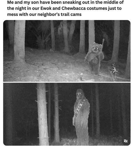 Two infrared photos of forest scenes, each with a person in an Ewok or Wookiee costume. The caption reads "Me and my son have been sneaking out at night in our Ewok and Chewbacca costumes just to mess with our neighbour's trail cams"