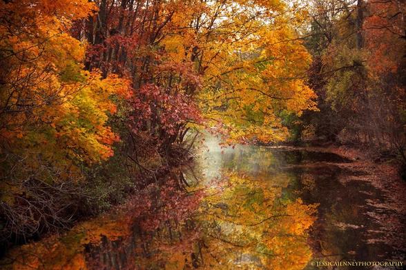 Golden autumn leaves adorn the trees lining a tranquil river, with their vibrant colors mirrored perfectly in the still water. A soft glow radiates through the foliage, creating a warm and inviting atmosphere amidst the serene natural setting.
