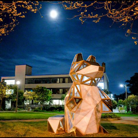 Conrad the 14 foot tall raccoon sculpture,  photographed by me under the full moon last year.