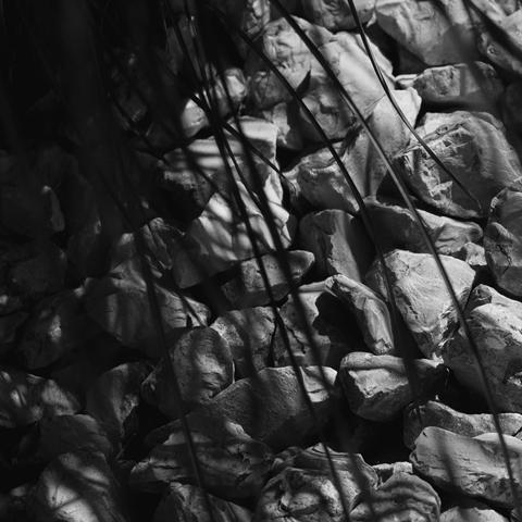 Motiv:
Eine Ansammlung von unregelmäßig geformten Steinen, teilweise von Grashalmen verdeckt.

Bildformat:
Quadratisches Format mit einem Fokus auf die Textur der Steine.

Genre:
Naturfotografie in Schwarz-Weiß.

Hintergrund:
Dunkler, nicht klar erkennbarer Hintergrund, der von schattenwerfenden Grashalmen unterbrochen wird.

Farben:
Monochrom in Schwarz-Weiß, was die Texturen und Schatten betont.

Lichtsituation:
Starkes, gerichtetes Licht erzeugt klare Schatten und hebt die Oberflächenstruktur der Steine hervor.