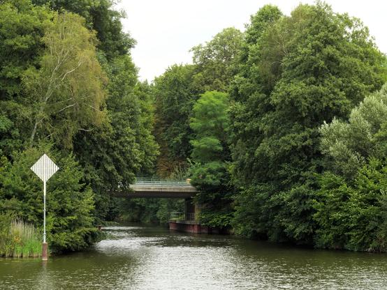 A canal exiting into a Brandenburg lake. A street bridge goes over the canal right behind the  canal entrance. Large trees in full green foliage to the right and left of the canal.