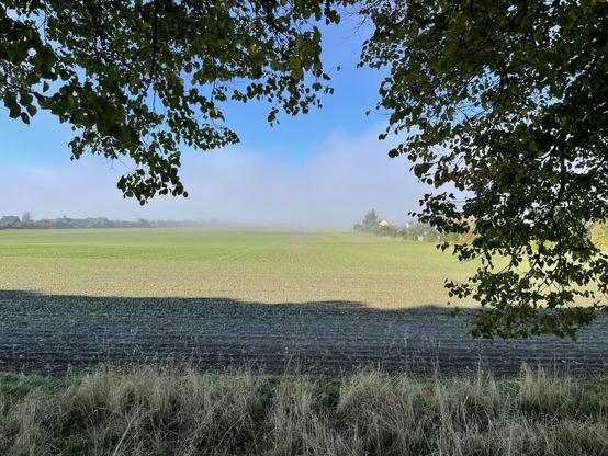 Blick übers Feld runter Richtung Warnowtal. In der Ferne ist es noch sehr neblig.