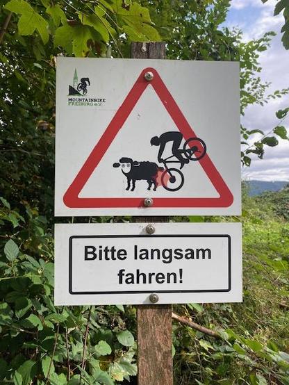 Schild am Wegesrand zwischen Bäumen. Abbildung im roten Warndreieck ein Schaf, auf den ein Radfahrender hinten auffährt und in die Luft geht. Text: Bitte langsam fahren.