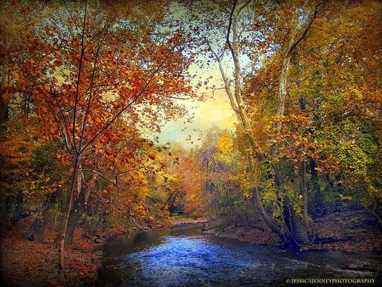 A serene stream meanders through a forest vibrant with autumnal colors, while leaves in shades of orange, yellow, and red drape delicately from the trees. The scene is enveloped in a soft glow, evoking a sense of peacefulness and the changing of seasons.
