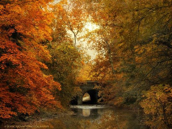 A tranquil river meanders through a forest resplendent with the fiery hues of autumn leaves. An old stone bridge arches gracefully over the water, inviting passage into this serene landscape. 