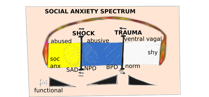 SAD = social anxiety disorder
NPD = narcissism
BPD = borderline
Ventral vagal = resilience