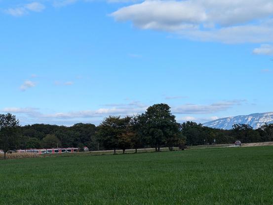 Herbe verte, ciel bleu parsemé de nuages et un Regiolis Alstom qui traverse discrètement la campagne