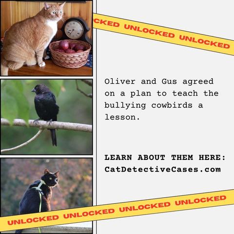collage: 3 images on the left: orange and white tabby sitting on a wooden table next to a basket of red apples; a brown-headed cowbird perched on a branch; black cat Gus sitting on a metal chest outside with his back to the camera and his head turned to look over his shoulder; "UNLOCKED" banner tape criss-crossed over the image; text on the right: Oliver and Gus agreed on a plan to teach the bullying cowbirds a lesson. LEARN ABOUT THEM HERE: CatDetectiveCases.com