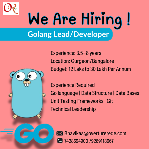 Golang Lead/Developer