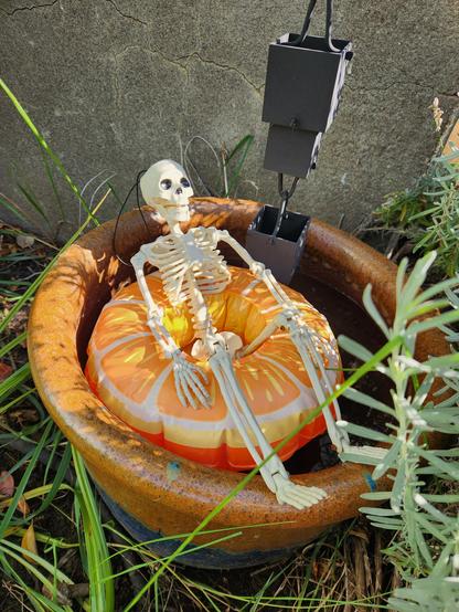 A tiny skeleton in a tiny pool floaty