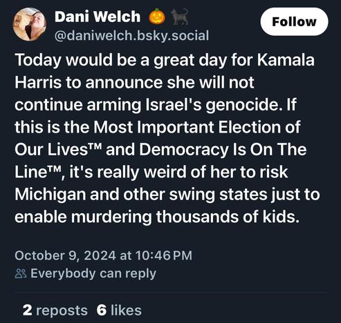 Dani Welch
Follow
@daniwelch.bsky.social
Today would be a great day for Kamala
Harris to announce she will not
continue arming Israel's genocide. If
this is the Most Important Election of
Our Lives™ and Democracy Is On The
Line T™
', it's really weird of her to risk
Michigan and other swing states just to
enable murdering thousands of kids.
October 9, 2024 at 10:46 PM
i Everybody can reply
2 reposts 6 likes