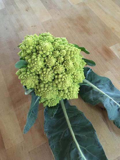 head of green romanesco with a few dark green leaves still attached to it
