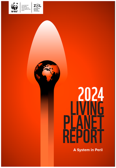 Cover 2024 LIVING PLANET REPORT

At a regional level, the fastest declines have been seen in Latin America and the Caribbean – a concerning
95% decline – followed by Africa (76%) and the Asia and the Pacific (60%). Declines have been less dramatic
in Europe and Central Asia (35%) and North America (39%), but this reflects the fact that large-scale impacts
on nature were already apparent before 1970 in these regions: some populations have stabilized or increased
thanks to conservation efforts and species reintroductions. Habitat degradation and loss, driven primarily by
our food system, is the most reported threat in each region, followed by overexploitation, invasive species
and disease. Other threats include climate change (most cited in Latin America and the Caribbean) and
pollution (particularly in North America and Asia and the Pacific).