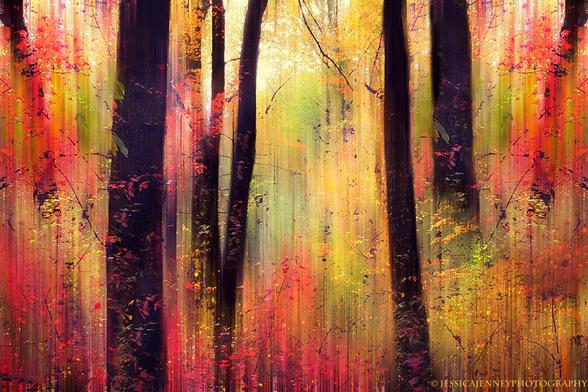 An impressionistic image of a forest in peak autumn. A serene forest scene is depicted with vibrant, autumnal colors splashed across the trunks and leaves, creating an almost magical effect. Light appears to filter through the canopy, imparting a soft glow that illuminates the scene with warm hues.