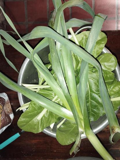 Boll con hojas de acelga y un ajo puerro sobre mesada de madera