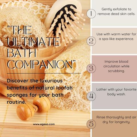 5 Tips And Tricks About The Ultimate Bath Companion